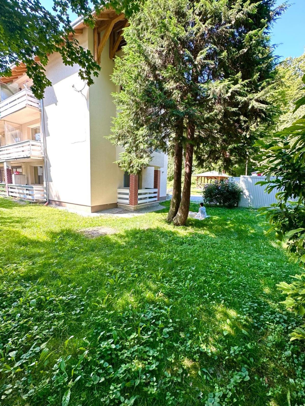 Sovata Apartment